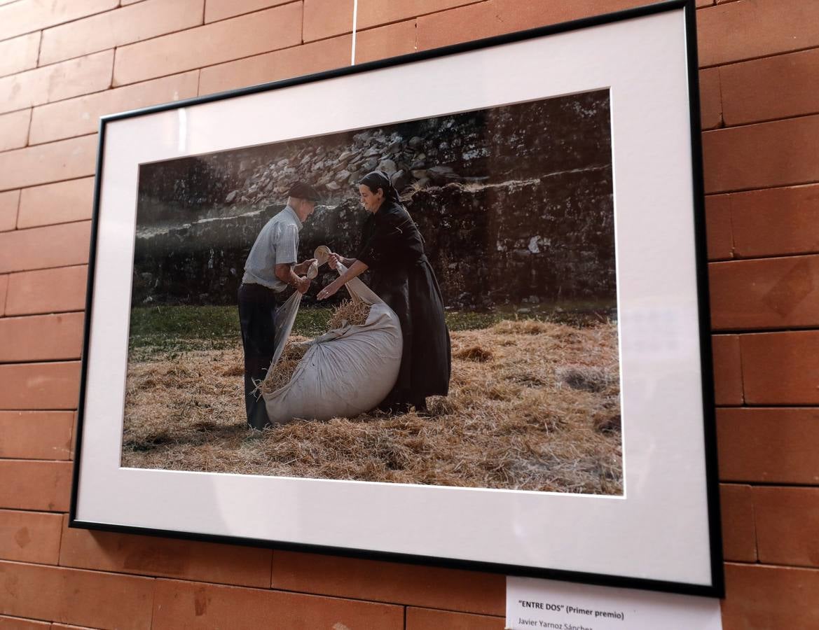 Hasta el 15 de marzo, en el Centro Cultural Alcazaba, se podrá ver la exposición fotográfica 'Igualdad en Positivo'. Se trata de 18 fotografías que reflejan en positivo situaciones de igualdad entre hombres y mujeres en la vida cotidiana, una exposición con el objetivo de contribuir a la lucha por la igualdad real y que forma parte de las actividades conmemorativas del Día Internacional de la Mujer.