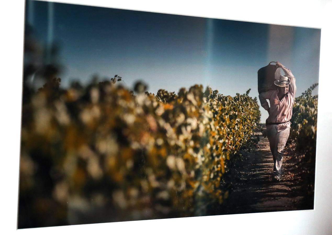 Hasta el 15 de marzo, en el Centro Cultural Alcazaba, se podrá ver la exposición fotográfica 'Igualdad en Positivo'. Se trata de 18 fotografías que reflejan en positivo situaciones de igualdad entre hombres y mujeres en la vida cotidiana, una exposición con el objetivo de contribuir a la lucha por la igualdad real y que forma parte de las actividades conmemorativas del Día Internacional de la Mujer.