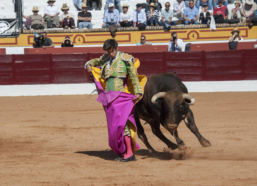 Novillada matinal este sábado en la Feria del Toro de Olivenza 
