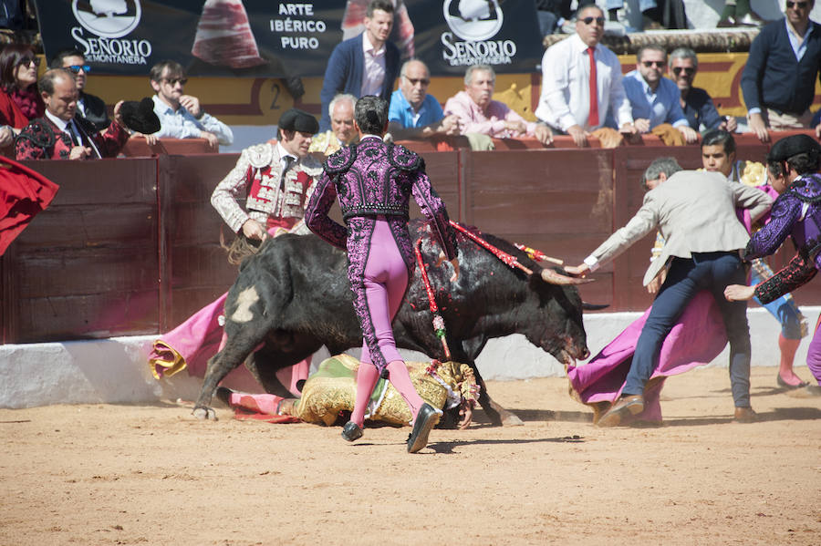 Novillada matinal este sábado en la Feria del Toro de Olivenza 