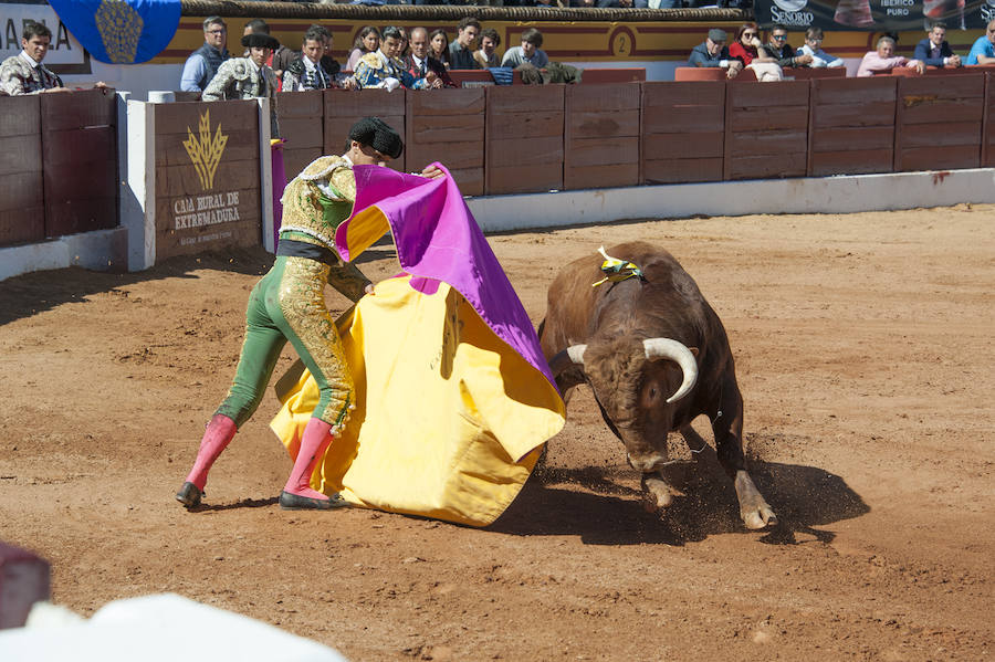 Novillada matinal este sábado en la Feria del Toro de Olivenza 