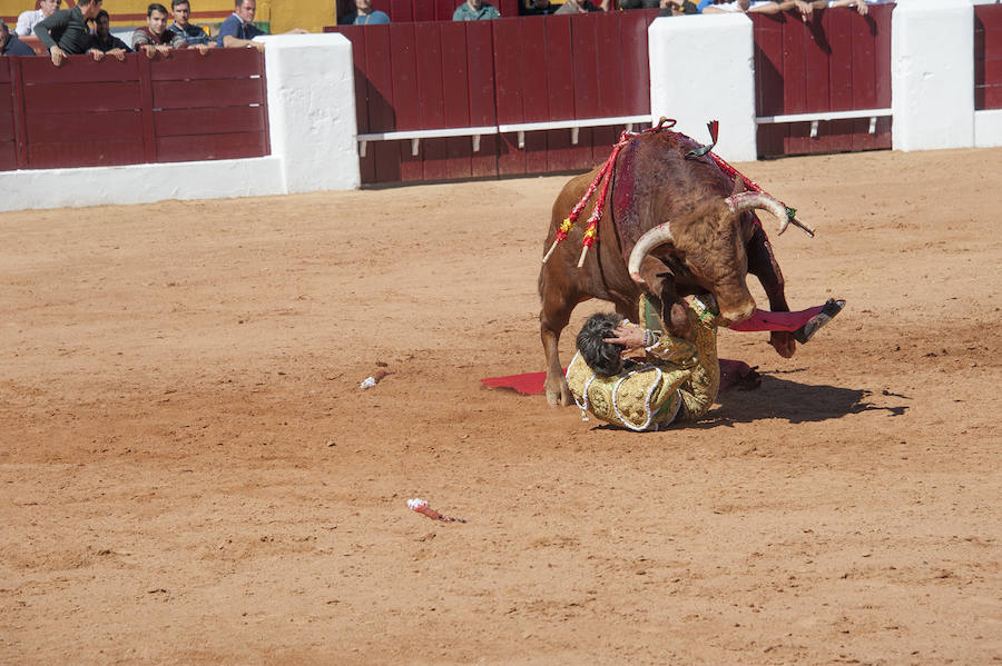 Novillada matinal este sábado en la Feria del Toro de Olivenza 