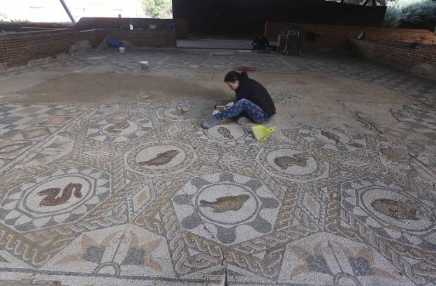 Trabajando en uno de los mosaicos de la Casa del Anfiteatro. :: j. m. romero