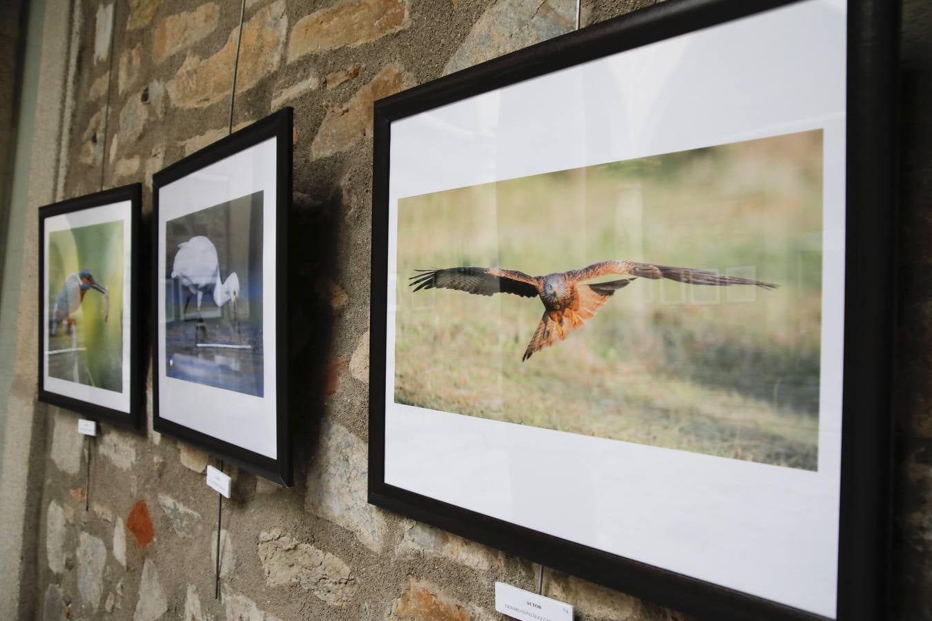 Del 21 de febrero hasta el 14 de marzo se expone, en el Ateneo de Cáceres, la muestra de fotografías titulada «Objetivo natural, los otros pobladores de la dehesa». Se trata de una muestra que ha recorrido otras ciudades de la geografía extremeña.