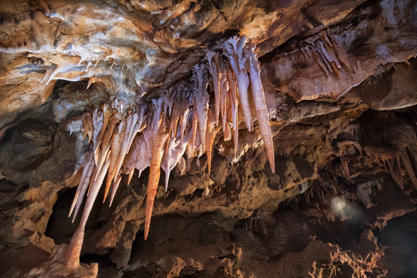 Actualmente están paradas las obras en el tramo comprendido entre la Ex-206 y la primera rotonda de acceso al residencial Vistahermosa 