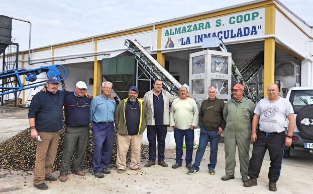 Cooperativistas de La Inmaculada en la almazara de Torrejoncillo.