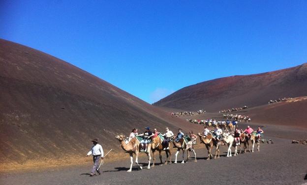 Un camellero guía a una caravana de turistas por el parque nacional de Timanfaya, en la isla de Lanzarote. :: R.C.