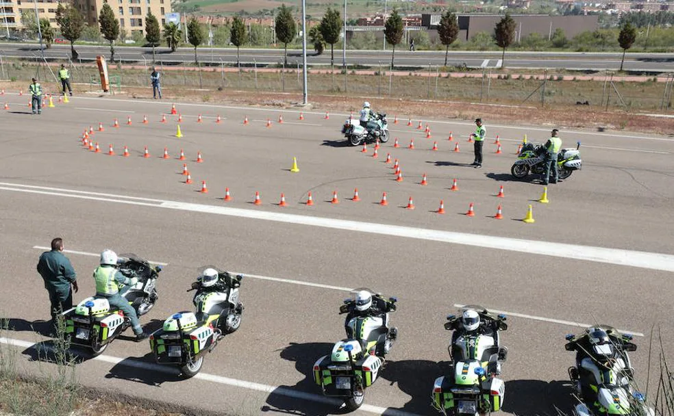 Un aspirante se examina en el trébol de conos. :: 