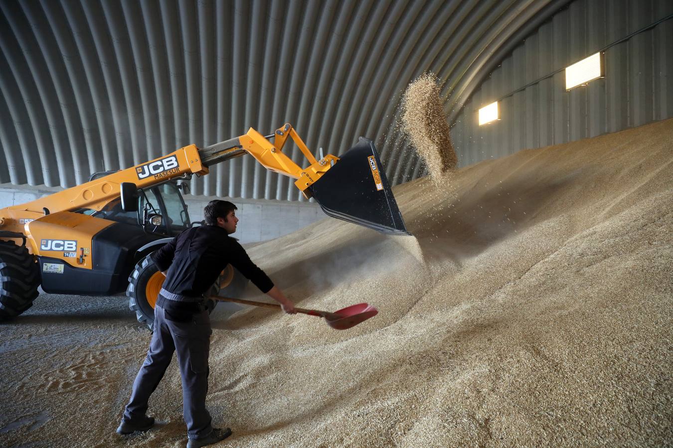 La falta de agua hace peligar el cereal en la región