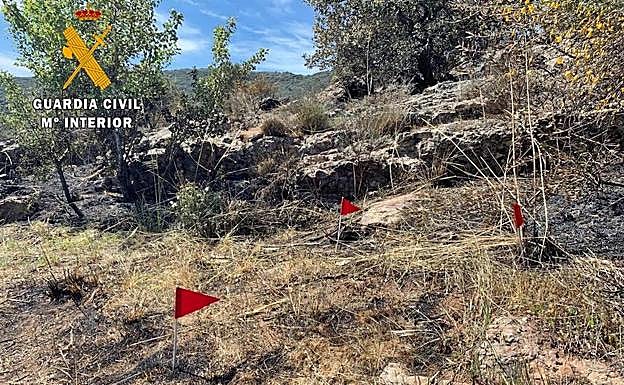 La «imprudencia grave» de un agricultor, causa del incendio en un paraje de Feria en marzo