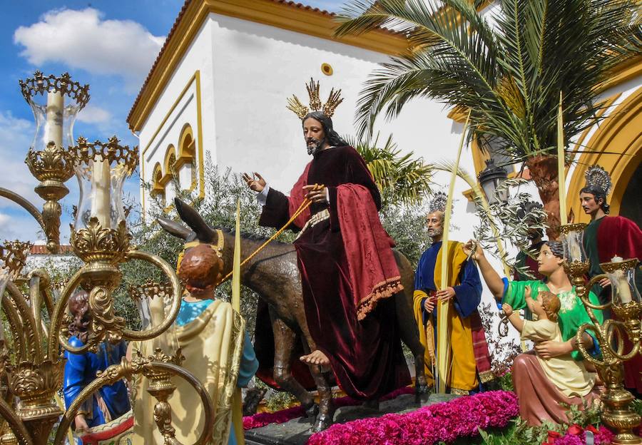Fotos: Procesión de la Borriquita