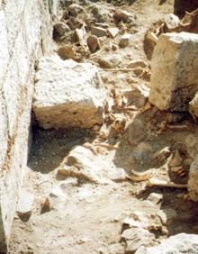 Imagen secundaria 2 - Puntas de flecha y restos de armadura halladas en las excavaciones. Restos óseos destapdos junto a la muralla.