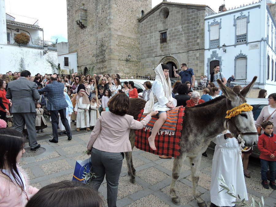 Medio centenar de fotografias de la semana santa Frexnense 2019