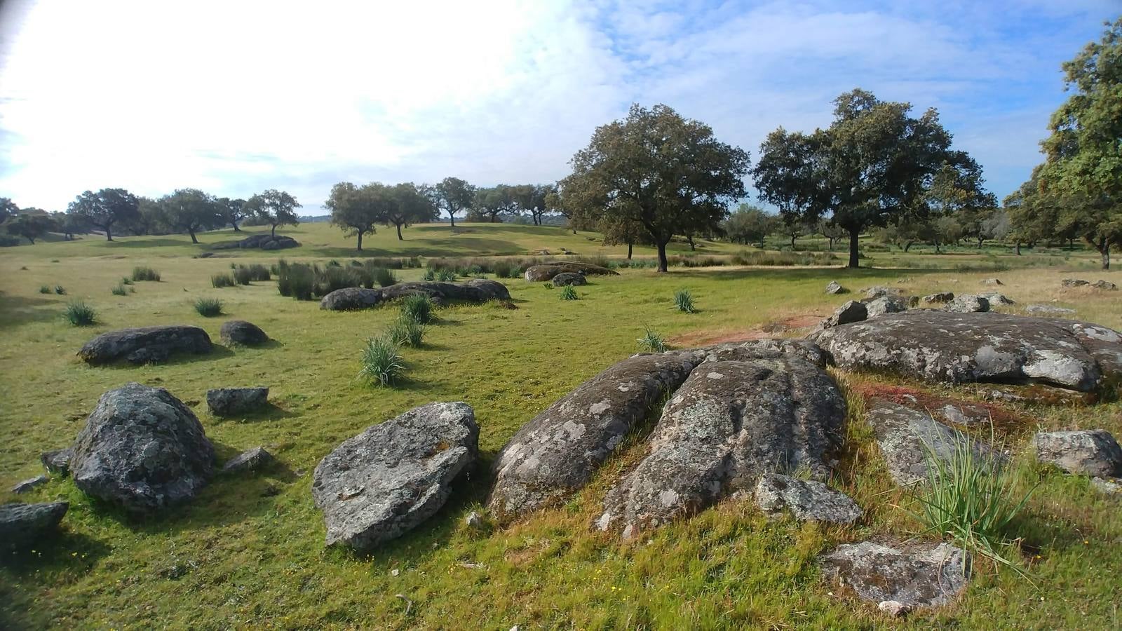 El entorno de la localidad pacenses de La Roca de la Sierra se puede encontrar espectaculares canchales y la Dehesa Boyal, que alberga la Pradera de San Isidro.