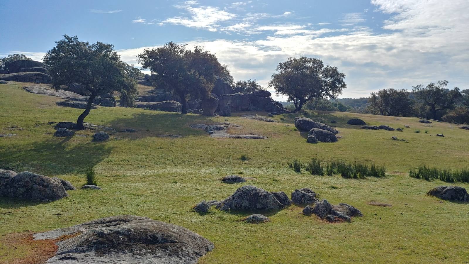 El entorno de la localidad pacenses de La Roca de la Sierra se puede encontrar espectaculares canchales y la Dehesa Boyal, que alberga la Pradera de San Isidro.