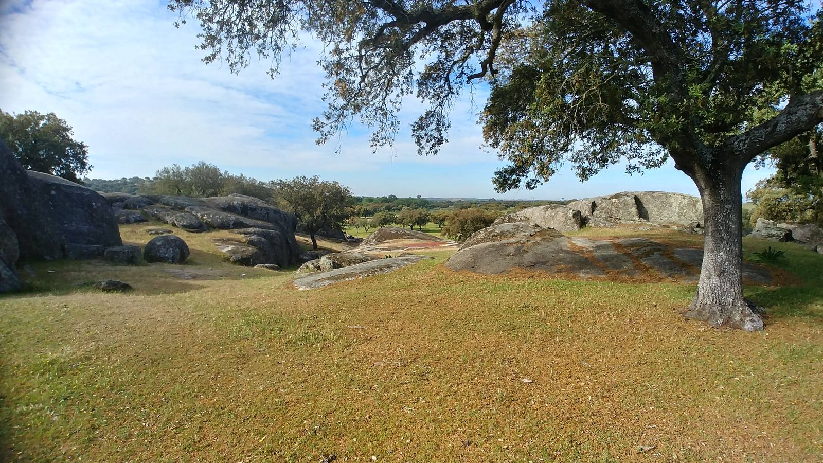 El entorno de la localidad pacenses de La Roca de la Sierra se puede encontrar espectaculares canchales y la Dehesa Boyal, que alberga la Pradera de San Isidro.