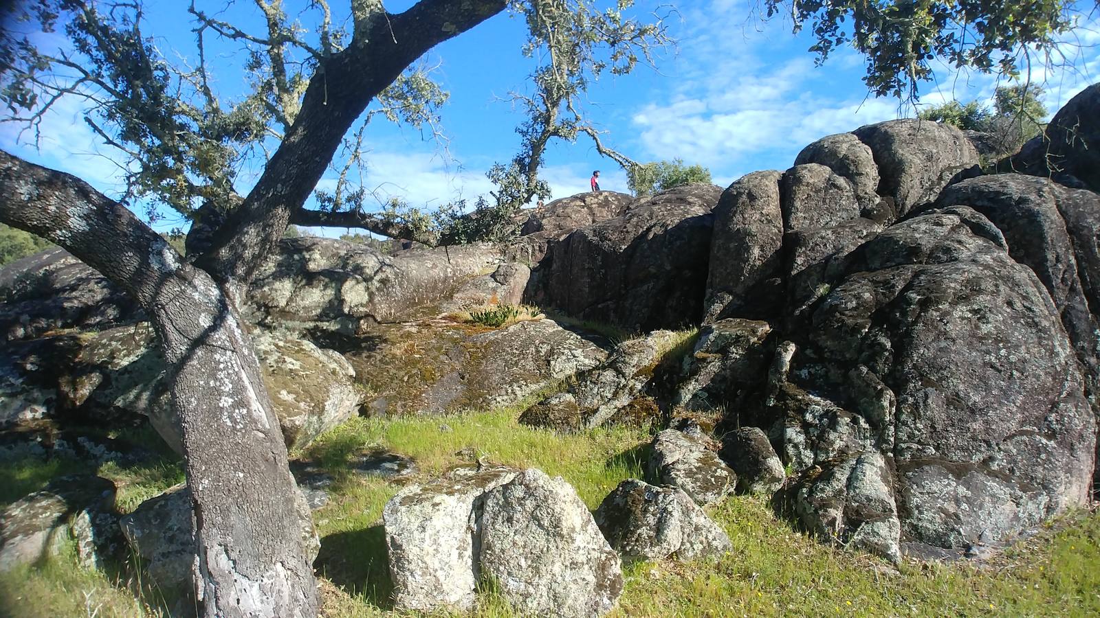 El entorno de la localidad pacenses de La Roca de la Sierra se puede encontrar espectaculares canchales y la Dehesa Boyal, que alberga la Pradera de San Isidro.