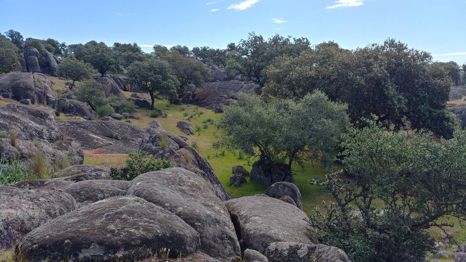 El entorno de la localidad pacenses de La Roca de la Sierra se puede encontrar espectaculares canchales y la Dehesa Boyal, que alberga la Pradera de San Isidro.