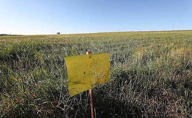 Hacia una PAC basada en resultados