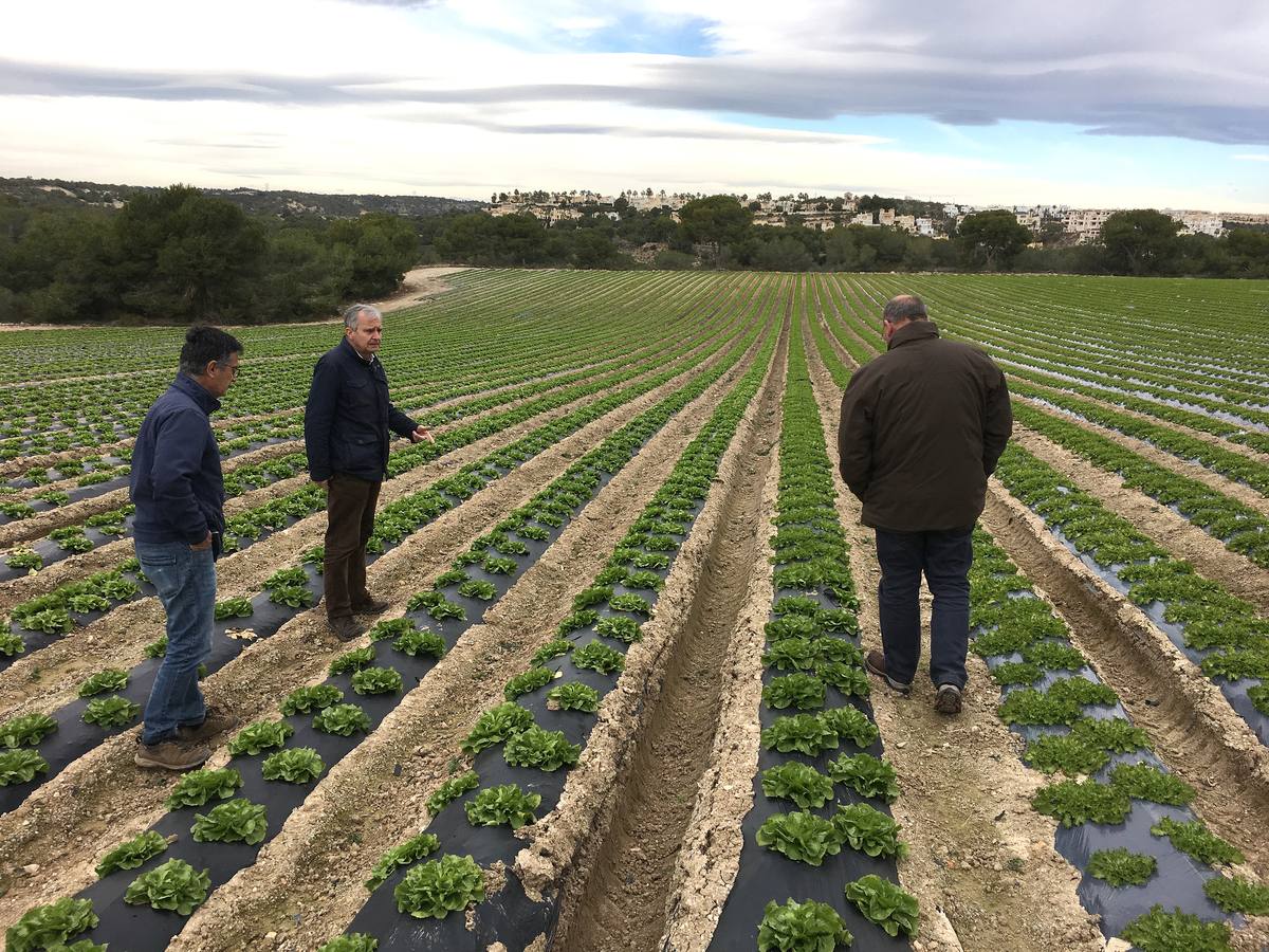 Con Enviroplast los agricultores se benefician de las bondades del acolchado pero sin dejar ningún residuo en la tierra