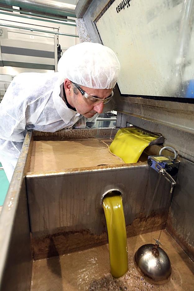 Prensado del aceite en La Unidad de Monterrubio. :: BRÍGIDO