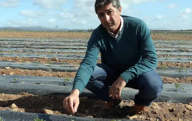 José Antonio Toledo tiene instalado Enviroplast en su plantación de Guareña:: BRÍGIDO
