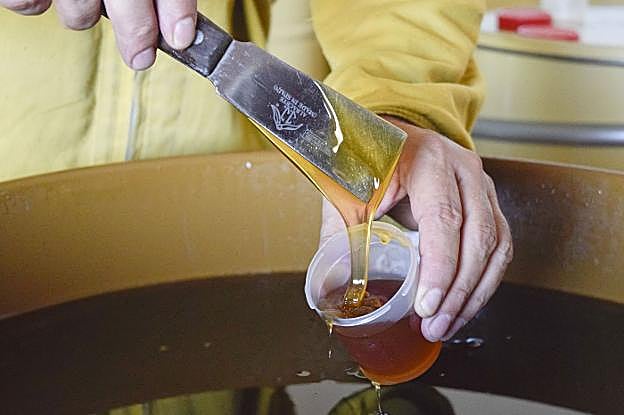 Un apicultor de la Hurdes envasa artesanalmente miel. :: hoy