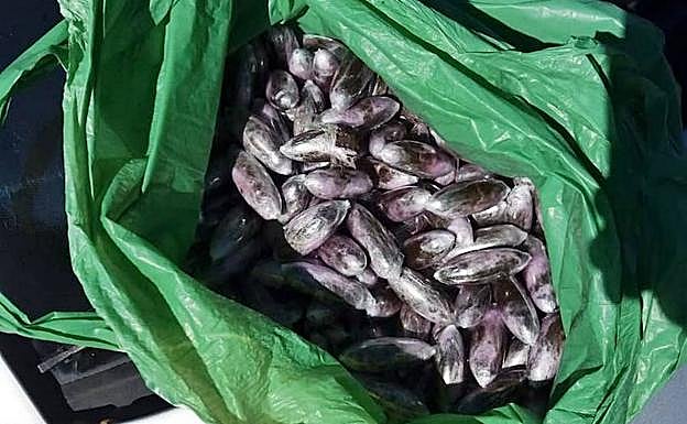 Detenido cuando circulaba a la altura de Almendralejo con 1,6 kilos de hachís oculto entre su ropa