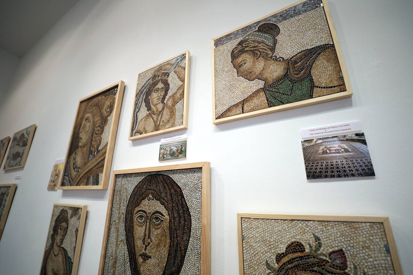 La Escuela de Arte y Superior de Diseño de Mérida abre una muestra en torno a esta disciplina a cargo de Jesús Antonio Martínez Lombó. Desde la Antigüedad a nuestros días, el arte del mosaico se ha empleado en paredes y suelos como una 'pintura en piedra' dedicada a los más nobles asuntos o al mero ornato suntuario», recuerdan desde el Ciclo Superior de Mosaicos con respecto a la exposición que inauguran este viernes 3 de mayo a las 20:00 en la sala de exposiciones de la Escuela de Arte. La muestra podrá verse hasta el 16 de mayo en el horario de mañana, con entrada gratuita.