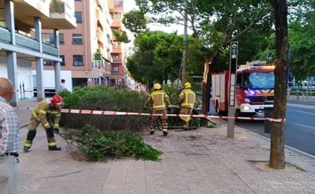 Los bomberos quitan la rama del árbol que ha caído sobre la acera en la avenida del Perú