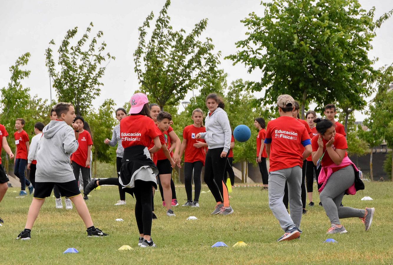350 de ellos celebraron el Día de la Educación Física en el parque del río. Esta iniciativa, que pretender reivindicar el papel de esta asignatura y la importancia del deporte, se realiza a nivel nacional y en Badajoz ha sido organizada desde hace seis años por el Centro deProfesores y Recursos.