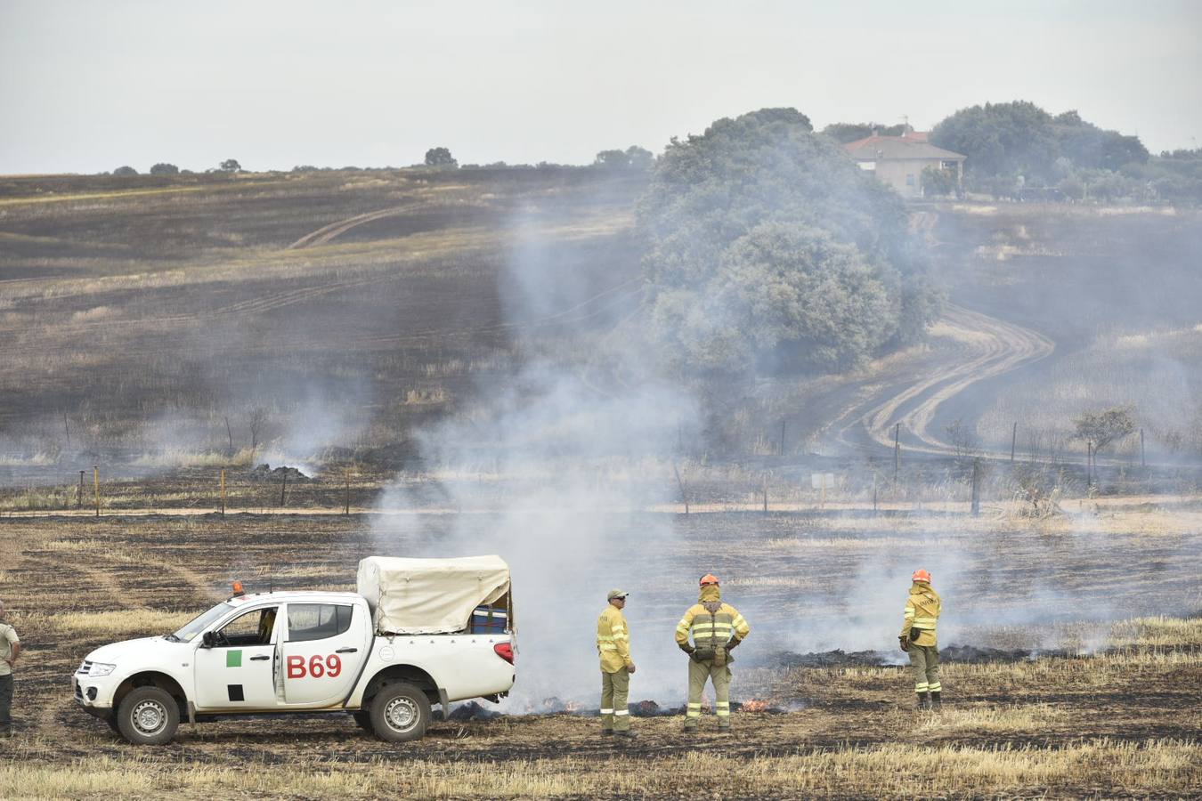 El fuego ha comenzado entre la Dehesilla del Calamón y el antiguo cuartel de Sancha Brava, pero se ha extendido con rapidez debido al viento llegando a aproximarse a algunas casas 