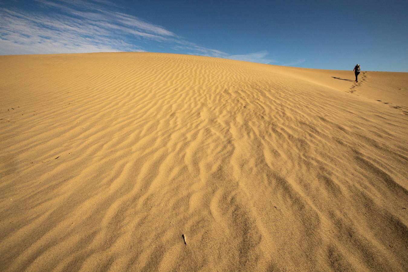 Una turista camina por las dunas de Mesquite, en el Valle de la Muerte, cercano a Furnace Creek