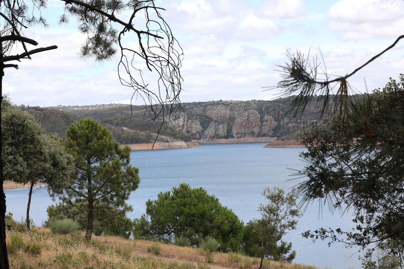 Once pueblos pacenses componen un territorio que goza de una gran variedad de hábitats, que sirven para dar cobijo a diferentes especies de flora y fauna