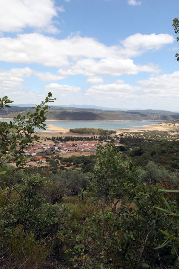 Once pueblos pacenses componen un territorio que goza de una gran variedad de hábitats, que sirven para dar cobijo a diferentes especies de flora y fauna