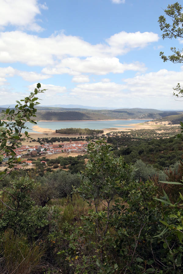 Once pueblos pacenses componen un territorio que goza de una gran variedad de hábitats, que sirven para dar cobijo a diferentes especies de flora y fauna