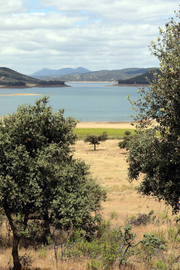 Once pueblos pacenses componen un territorio que goza de una gran variedad de hábitats, que sirven para dar cobijo a diferentes especies de flora y fauna