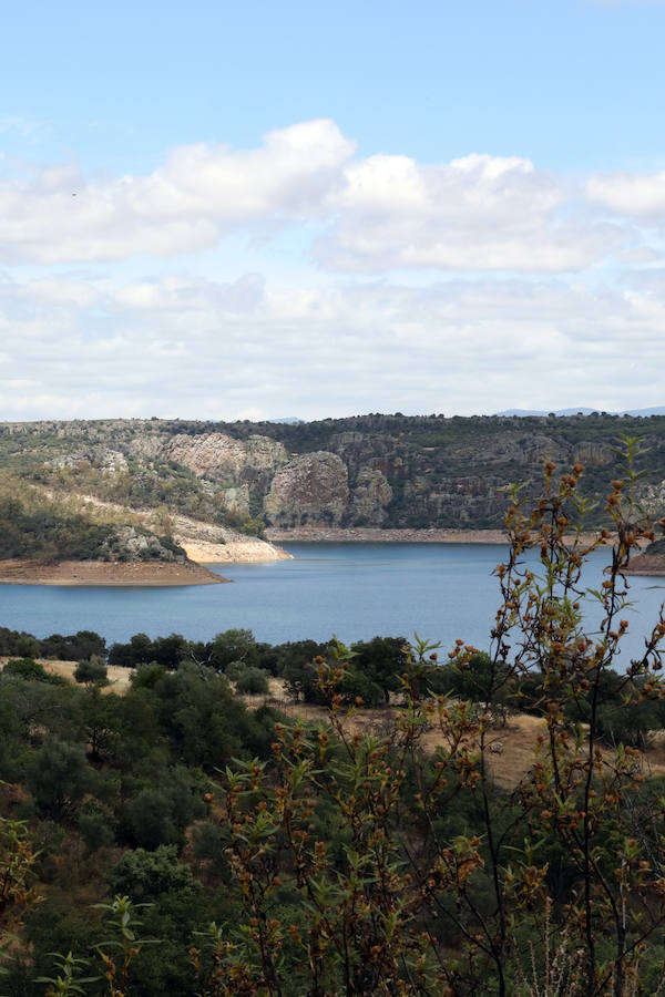 Once pueblos pacenses componen un territorio que goza de una gran variedad de hábitats, que sirven para dar cobijo a diferentes especies de flora y fauna