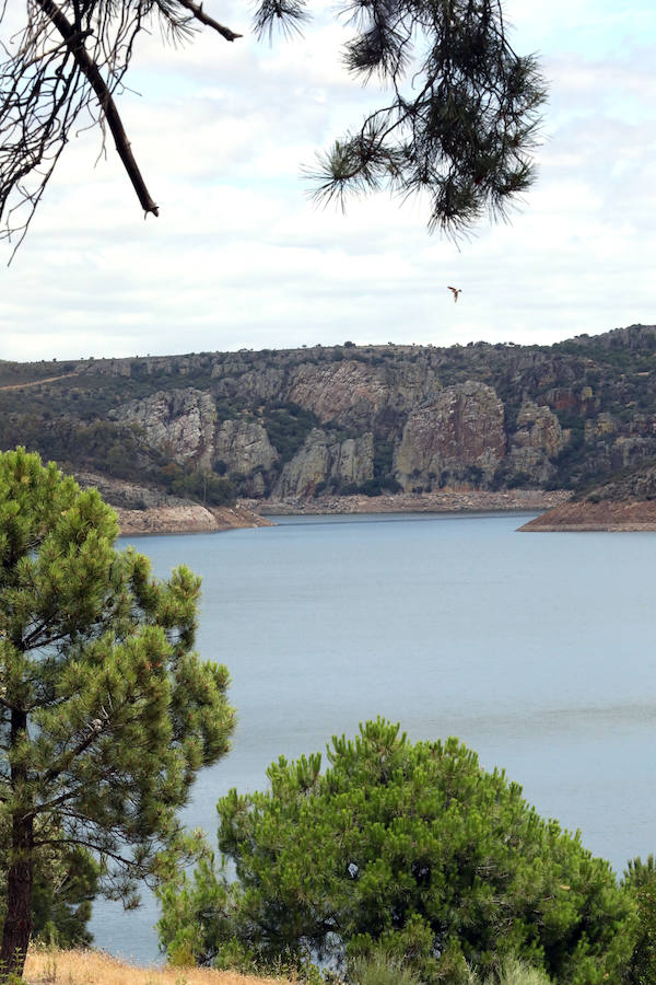 Once pueblos pacenses componen un territorio que goza de una gran variedad de hábitats, que sirven para dar cobijo a diferentes especies de flora y fauna