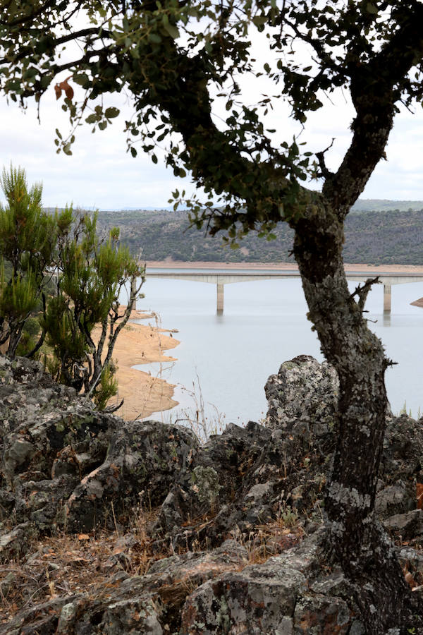 Once pueblos pacenses componen un territorio que goza de una gran variedad de hábitats, que sirven para dar cobijo a diferentes especies de flora y fauna