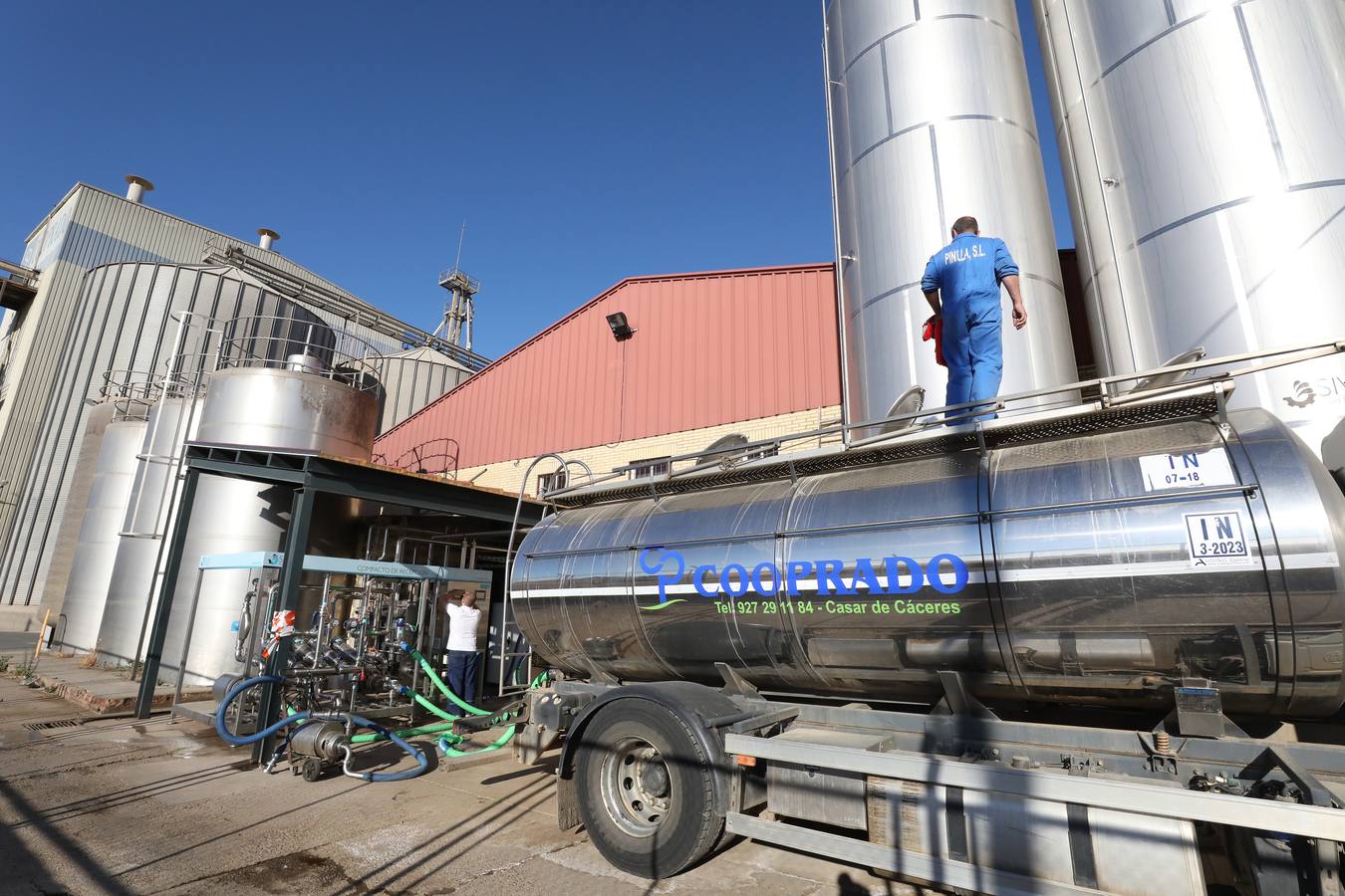 Fotos: El vacuno de leche resiste y siguen activas un centenar de explotaciones en la región