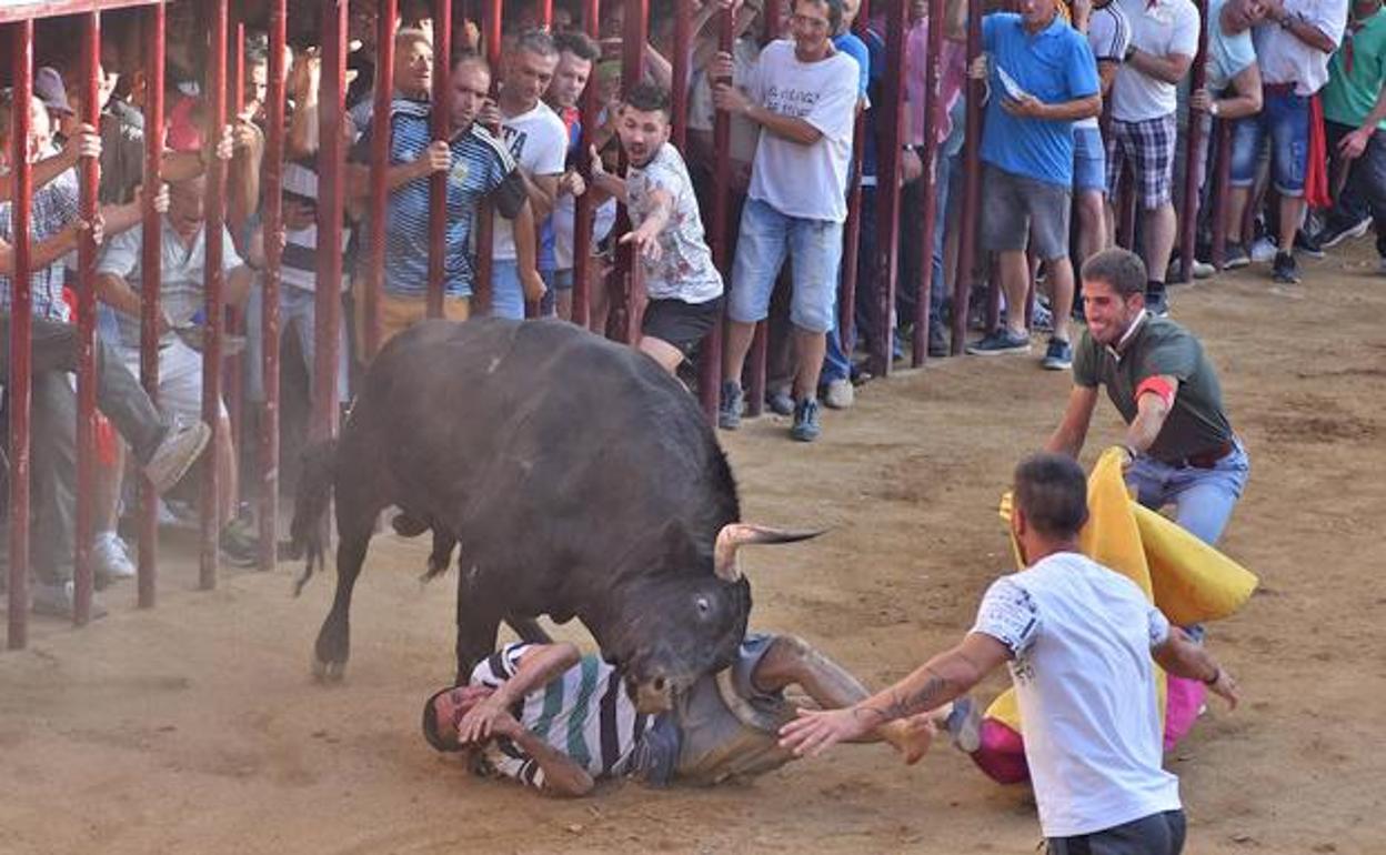 El toro corneó a un hombre en la plaza.