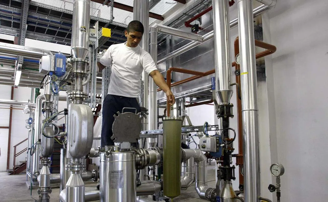 Un trabajador en la planta de Bioenergética Extremeña en 2010. :