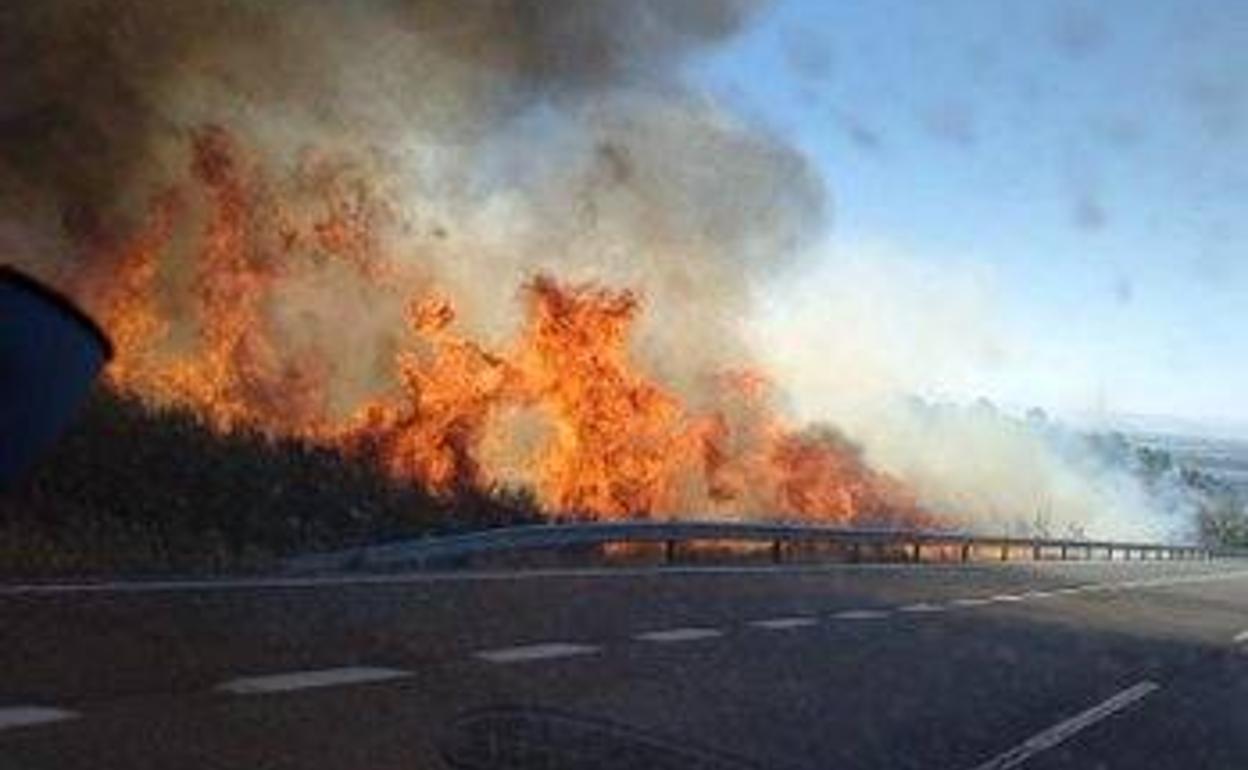Las llamas cerca de la carretera.