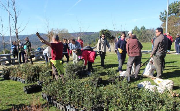 Voluntarios del programa 'Plantabosques' de Adenex, reforestando este año en la localidad de Carvemaes, cerca de Viseu:: ADENEX