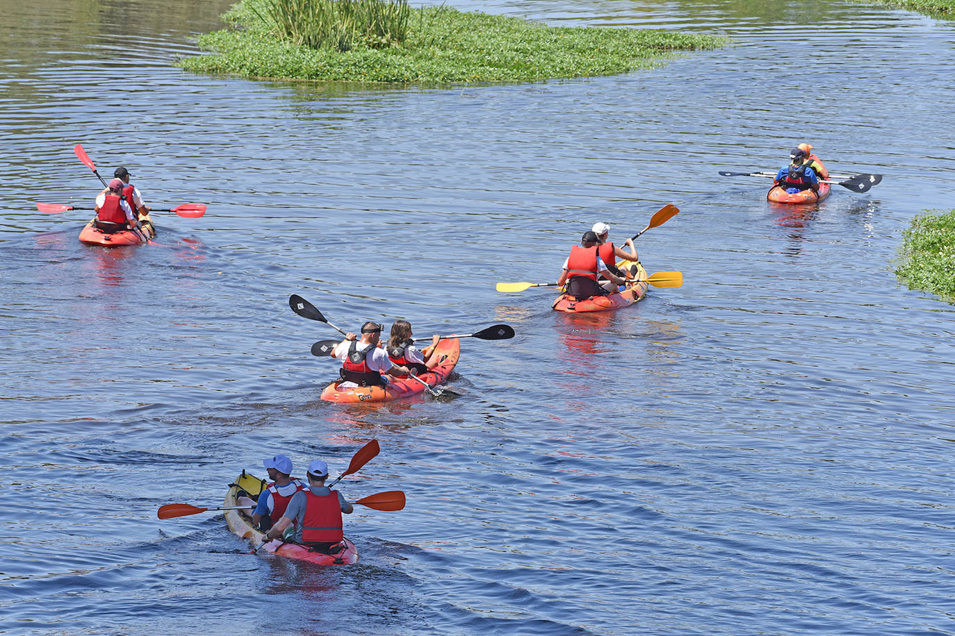 Coria ha acogido este domingo 4 de agosto el duodécimo descenso del río Alagón 'Puente de la Macarrona-Puente de Hierro', un evento que aúna deporte, turismo y naturaleza, y con el que el Ayuntamiento de la localidad pretende reivindicar un río más limpio y cuidado.