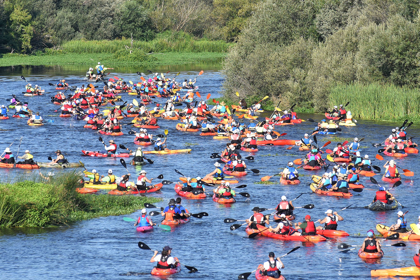 Coria ha acogido este domingo 4 de agosto el duodécimo descenso del río Alagón 'Puente de la Macarrona-Puente de Hierro', un evento que aúna deporte, turismo y naturaleza, y con el que el Ayuntamiento de la localidad pretende reivindicar un río más limpio y cuidado.