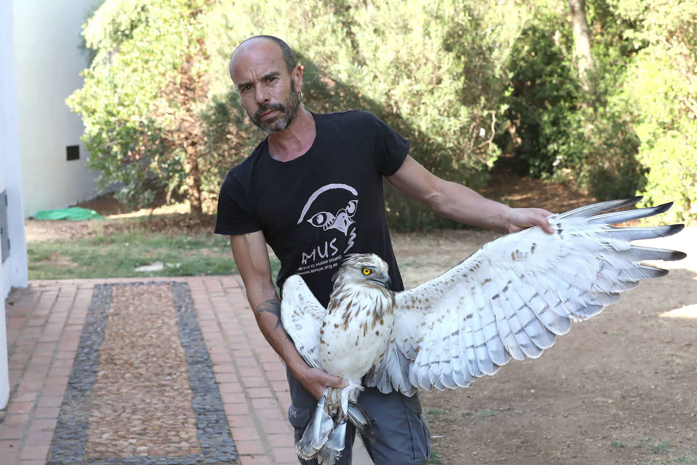 Fotos: Medicina quirúrgica en aves con traumatismos mediante la utilización de huesos de aves fallecidas