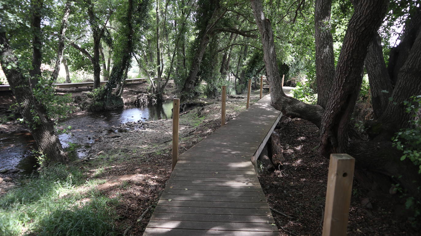 Fotos: La Codosera: una playa junto a un bosque