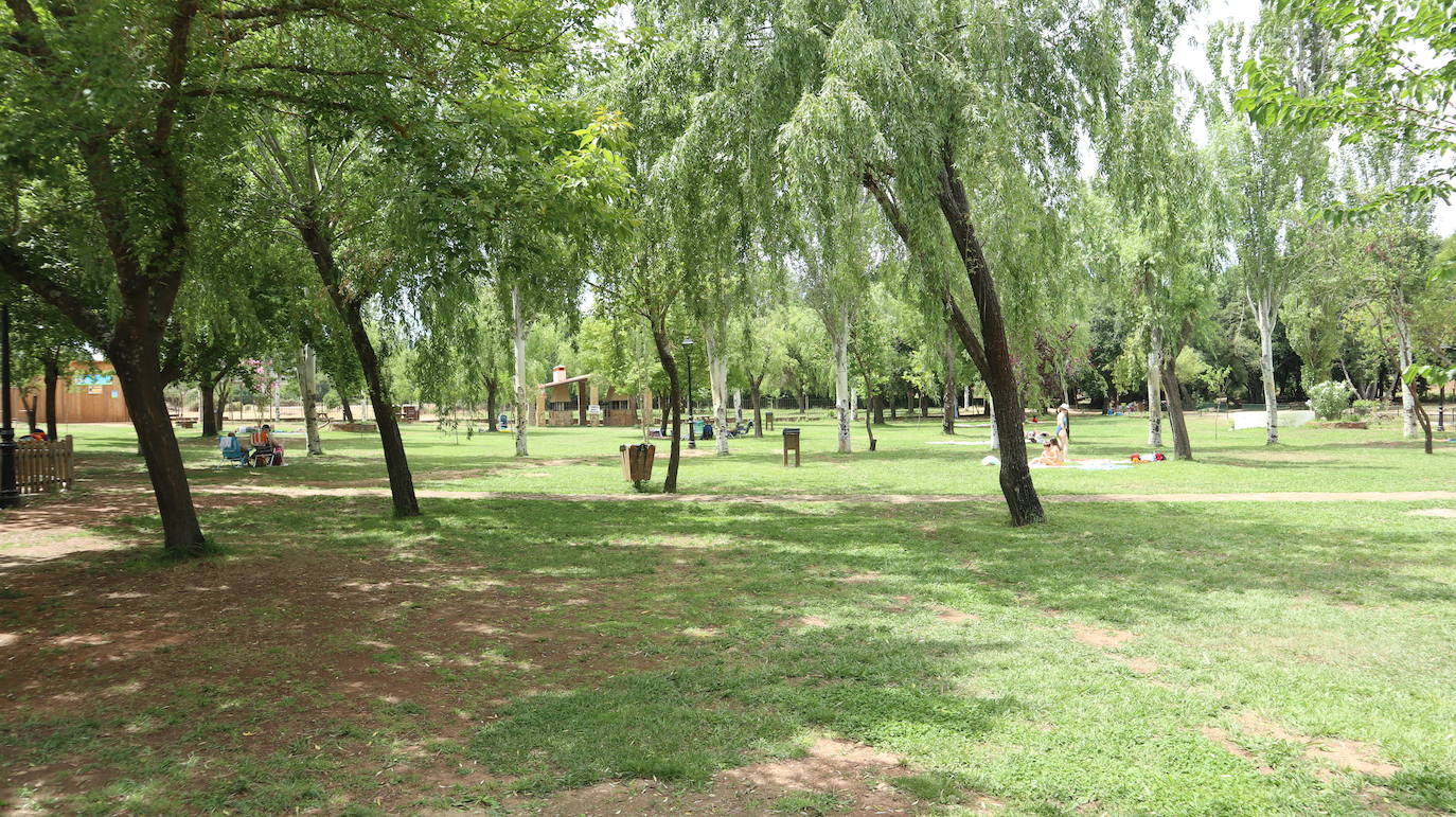 Fotos: La Codosera: una playa junto a un bosque